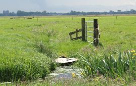 Joachim van der Valk, Vogelbescherming Nederland Weiland