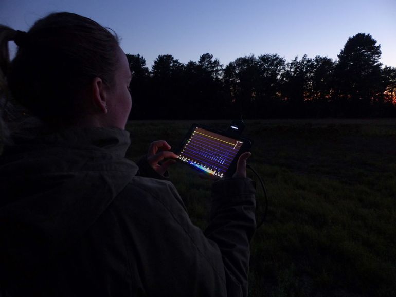 Soms worden ook detectors gebruikt met een scherm waarop de ultrasone geluiden worden weergegeven