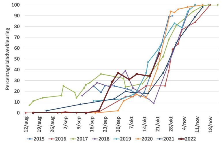 Verloop van bladverkleuring van een zomereik bij basisschool De Vlinderboom in de jaren 2015 tot en met 2022