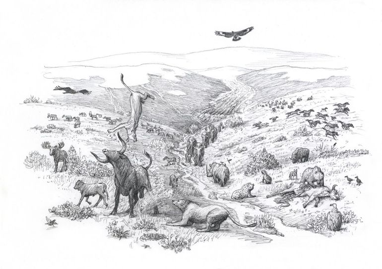 De pleistocene megafauna