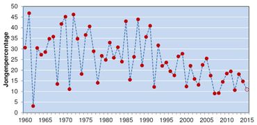 Aandeel jonge kolganzen in overwinterende groepen in Nederland sinds 1960. Gegevens 2015 voorlopig