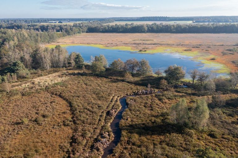 Een van de gegraven doorgangen in de dekzandrug, waardoor grondwater vanaf de hooilanden en het ven weer gemakkelijk het veengebied kan instromen