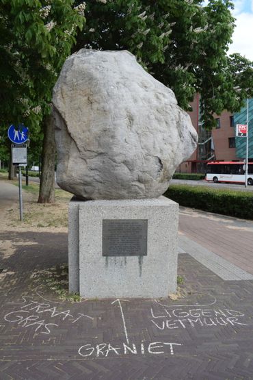 Stoepplantjes bij de Amersfoortse kei