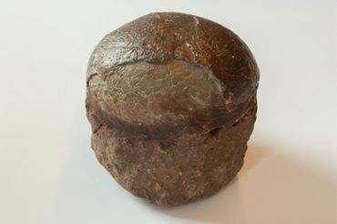 Fossil dinosaur egg