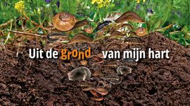 Bodemdieren onder de grond met tekst 