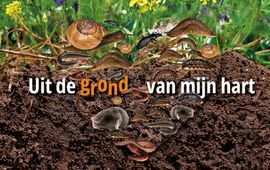 Bodemdieren onder de grond met tekst 