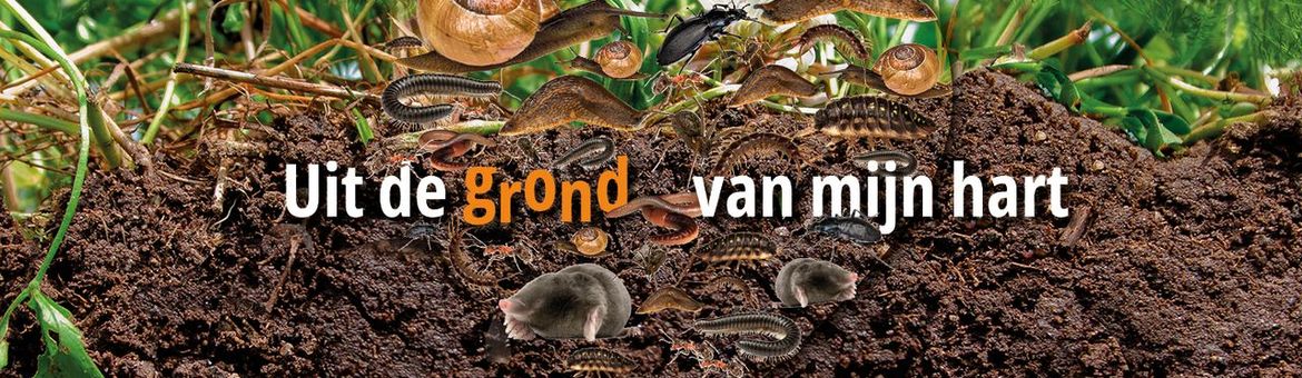 Bodemdieren onder de grond met tekst 