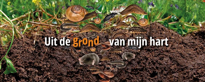 Bodemdieren onder de grond met tekst 