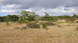 Noordhollands Duinreservaat - primair