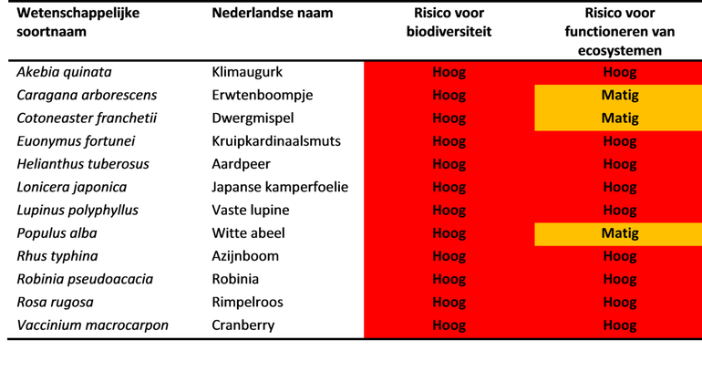 Tabel 1. Uitheemse plantensoorten met hoog potentieel risico