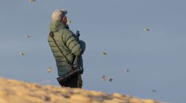 Pimpelmezentrek op Texel, 19 oktober 2025.