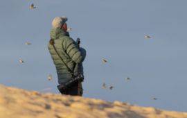 Thijs Glastra Pimpelmezentrek op Texel, 19 oktober 2025.