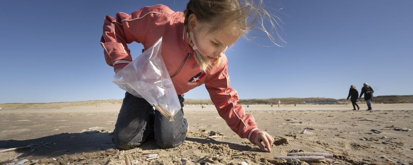 schelpenteldag - bijgesneden voor lead