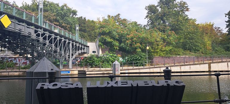 Hemelboom zaadbomen en zaailingen in de Zoologischer Garten