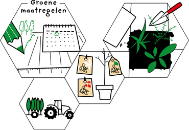Voorbeelden van groene maatregelen uit de Nationale Bijenstrategie