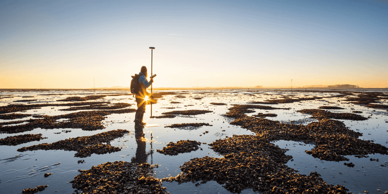 Intertidal mussel cultivation plot in the Oosterschelde