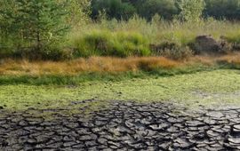 Michiel Wallis de Vries klimaatstress - primair