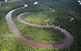 Brent Stirton, Getty Images Amazone