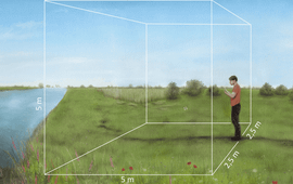 De Vlinderstichting Je telt in een box van 5x5x5 meter