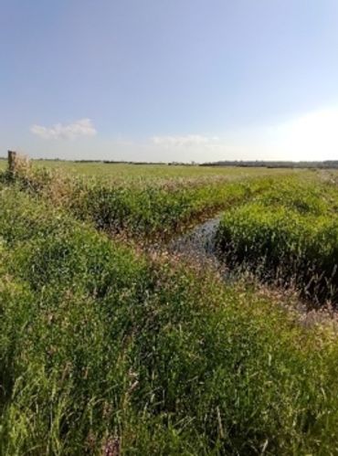 Geofysisch landschap Zonnepark Heerenveen