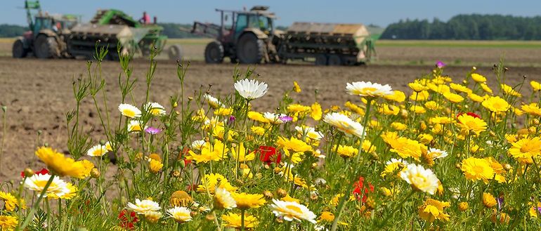 Onder meer de boeren moeten hun manier van werken veranderen en dat is geen peulenschil. Steun dus de boeren die goed bezig zijn door hun zuivel te kopen!