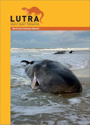 Voorkant van de Lutra Special over walvisachtigen in de Noordzee