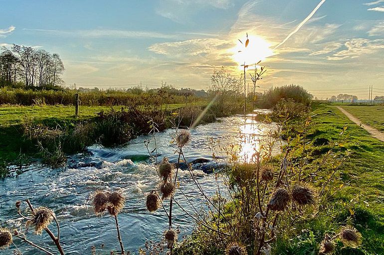 Vispassage bij sluiscomplex de Pol bij Etten