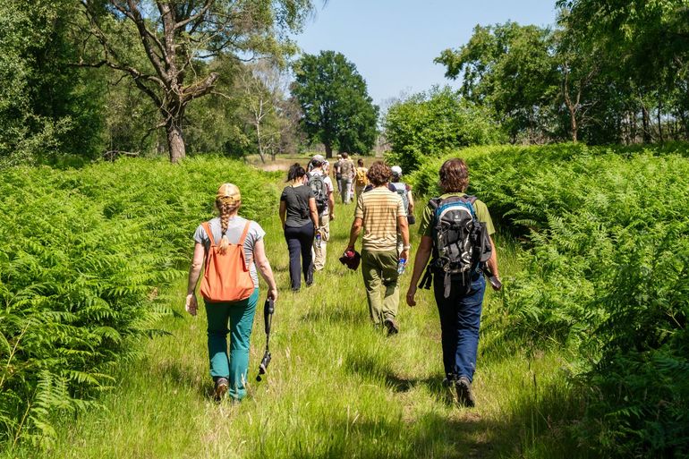 De Zwitserse natuurbeheerders worden rondgeleid door de Peel
