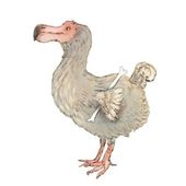 'Het lot van de dodo'