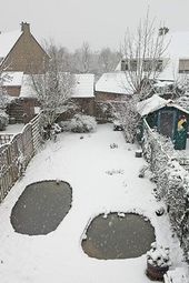 Tuinvijver met sneeuw