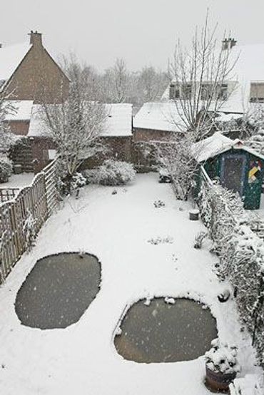 Tuinvijver met sneeuw