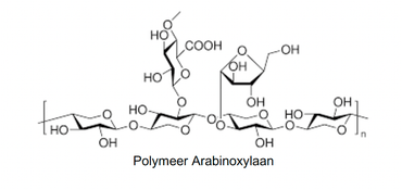 Polymeer arabinoxylaan