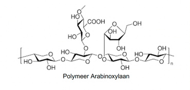 Polymeric arabinoxylan