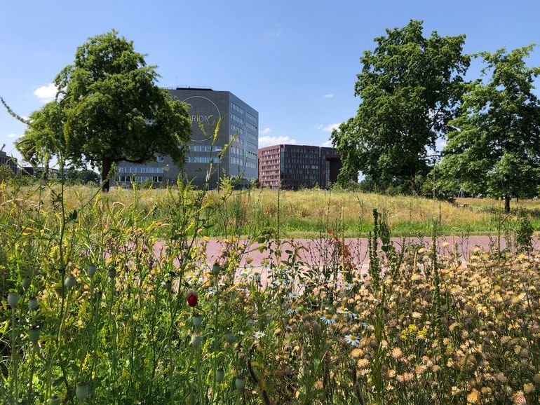 Orion en Forum op de campus van Wageningen University & Research