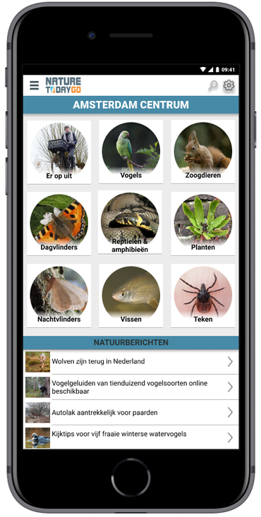 Voorbeeld van hoe Nature Today Go er uit zou kunnen komen te zien. Klik hier voor een link naar een interactieve demoversie