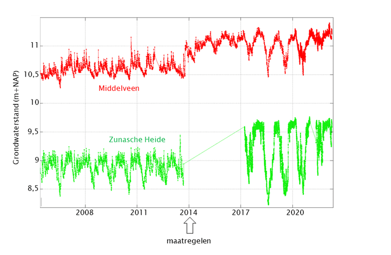 Gemeten grondwaterstanden in twee peilbuizen enkele jaren voor en na de inrichting