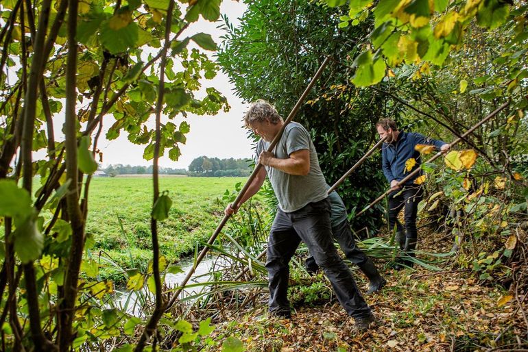 Die vijftienduizend vrijwilligers kunnen op de Natuurwerkdag een boel werk verzetten