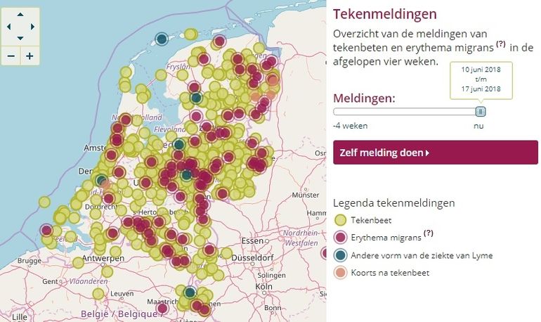 Meldingen van tekenbeten en ziekte van Lyme op Tekenradar.nl in de periode 10 tot en met 17 juni 2018