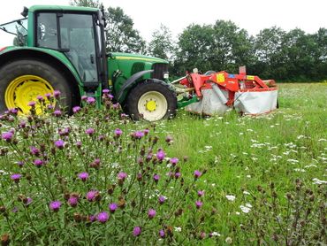 In juni rukken de maaimachines uit, terwijl er dan juist veel bloeit