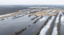 Wetlands zoals de Weerribben spelen Europees gezien een cruciale rol voor bijvoorbeeld trekvogels en vissen.