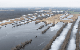 Wetlands zoals de Weerribben spelen Europees gezien een cruciale rol voor bijvoorbeeld trekvogels en vissen.