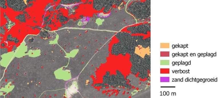 Vegetatieontwikkeling en beheermaatregelen op het Otterlosche Zand (2007-2018). De belangrijkste maatregel om dichtgroeien te voorkomen, is het handmatig verwijderen van opslag van jonge bomen. Omdat dit jaarlijks gebeurt, is dit niet zichtbaar op de kaart