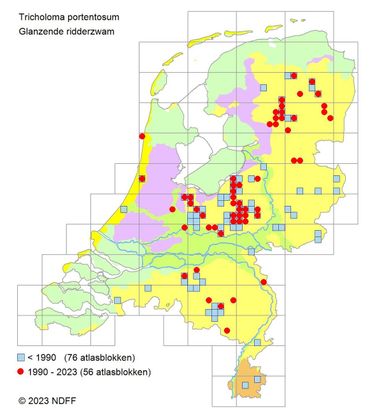 Verspreidingskaart Glanzende ridderzwam