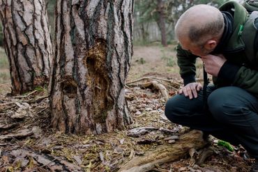 Specialist diersporen Aaldrik Pot bekijkt sporen