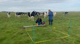 Kwelderhoogte opmeten