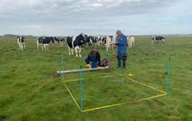 Kwelderhoogte opmeten