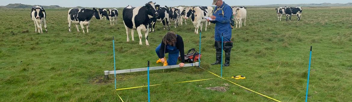 Kwelderhoogte opmeten