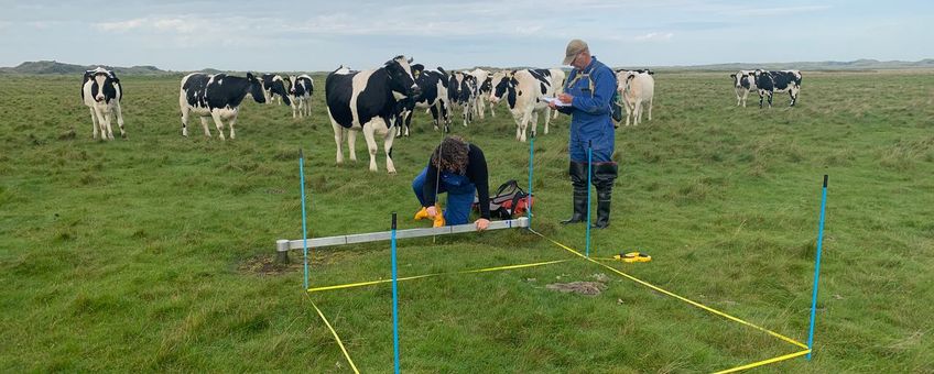 Kwelderhoogte opmeten
