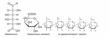 Links: galactonzuur; rechts: galactonzuur veresterd en gepolymeriseerd: pectine