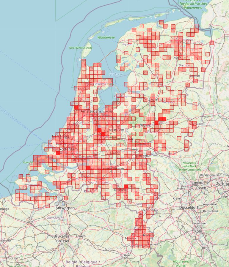 Verspreidingskaart met in rode vlakken de mollenwaarnemingen van 13 tot en met 21 februari 2021 in hokken van vijf bij vijf kilometer. Hoe donkerder het rode vlak, hoe meer waarnemingen in dit hok doorgegeven zijn